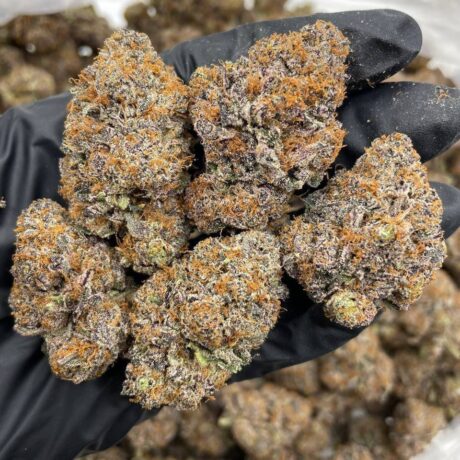 Rainbow Fanta indoors 🌈