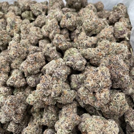 Astroidz