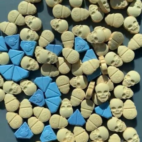 XTC
