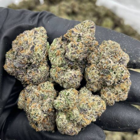 SPACE NERDZ INDOORS 🔭🤓