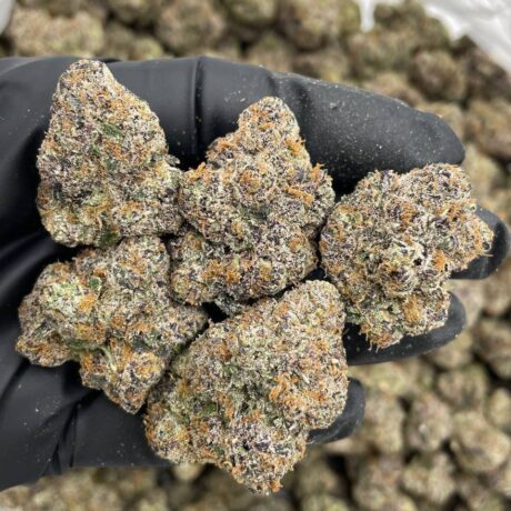 RAINBOW WARHEADZ INDOORS 😤🍭