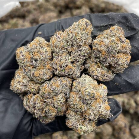 Blue Altoidz indoors 🔵 🍧